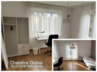Room share / 5 rooms house · 120 m², Le Grand-Saconnex, Chemin des Corbillettes