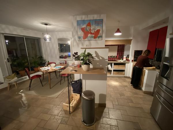 Colocation / Appartement 6 pièces de 115 m², Lyon, Quai Joseph Gillet / Photo 6