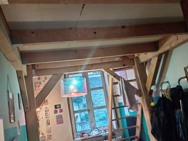 Sous-location / Appartement 7 pièces de 100 m², Lyon, Cours d'Herbouville / Photo 2