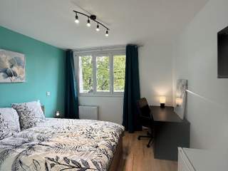 Colocation, Appartement 5 pièces, Villeurbanne