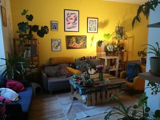 Colocation / Appartement 7 pièces de 105 m², Lyon, Rue du Garet