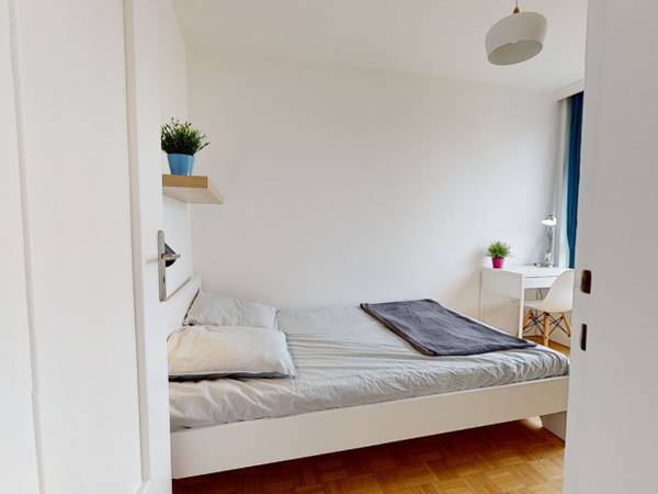 Colocation / Appartement 6 pièces de 90 m², Lyon, Rue Henri Barbusse / Photo 17