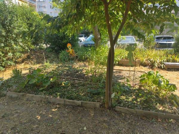 Sous-location / Appartement 5 pièces de 75 m², Montpellier, Rue du Faubourg Saint Jaumes / Photo 8