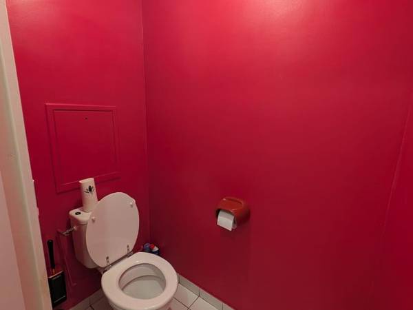 Colocation / Appartement 2 pièces de 80 m², Lyon, Rue Nicolai / Photo 10