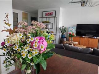 Chambre chez l'habitant / 3 rooms apartment · 72 m², Toulouse, Boulevard des Minimes