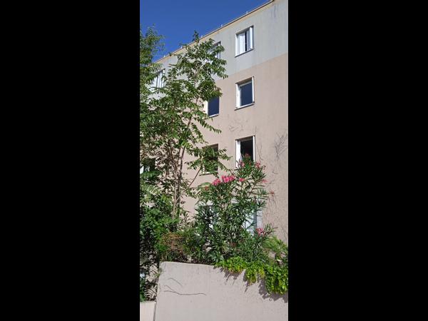 Appartement 3 pi ces de 67 m Avignon Colocation 350 mois