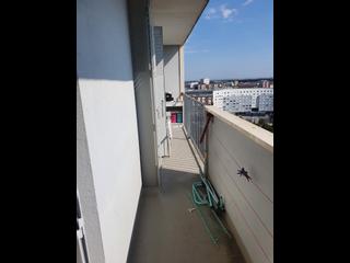 Colocation, Appartement 4 pièces, Toulouse