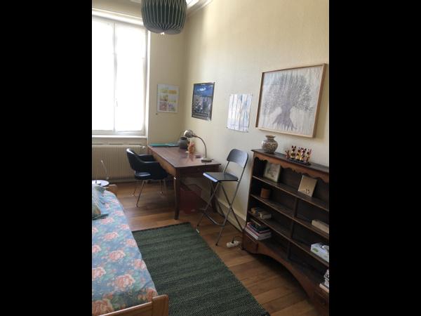 Chambre chez l'habitant / Appartement 1 pièce de 13 m², Strasbourg, Rue du Maréchal-Joffre / Photo 2