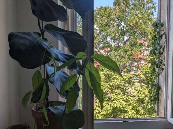 Sous-location / Appartement 3 pièces de 70 m², Marseille, Rue Saint Savournin / Photo 2