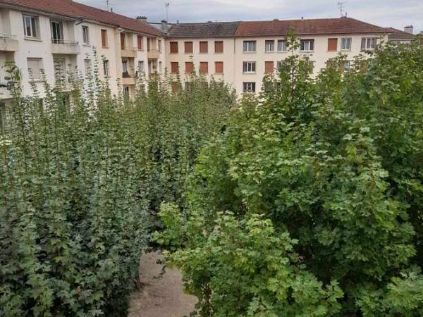 Colocation / Appartement 4 pièces de 67 m², Bourg-en-Bresse, Rue de la Citadelle / Photo 7