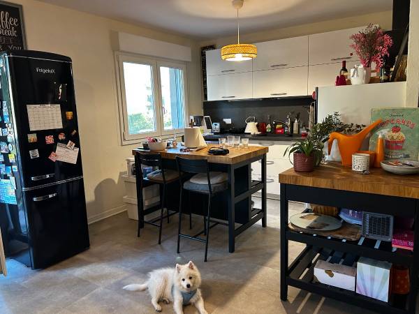 Colocation / Appartement 4 pièces de 77 m², Strasbourg, Rue de Rimbach / Photo 2