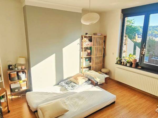 Colocation / Maison 9 pièces de 195 m², Liège, Rue de Fétinne / Photo 22