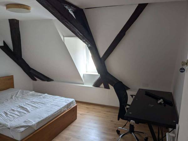 Colocation / Appartement 4 pièces de 90 m², Mulhouse, Rue des Franciscains / Photo 8