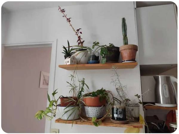 Sous-location / Appartement 2 pièces de 28 m², Paris, Rue Jean-Pierre Timbaud / Photo 7