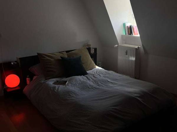 Colocation / Appartement 5 pièces de 100 m², Strasbourg, Rue du Dôme / Photo 2
