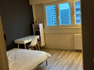 Colocation, Appartement 4 pièces, Strasbourg