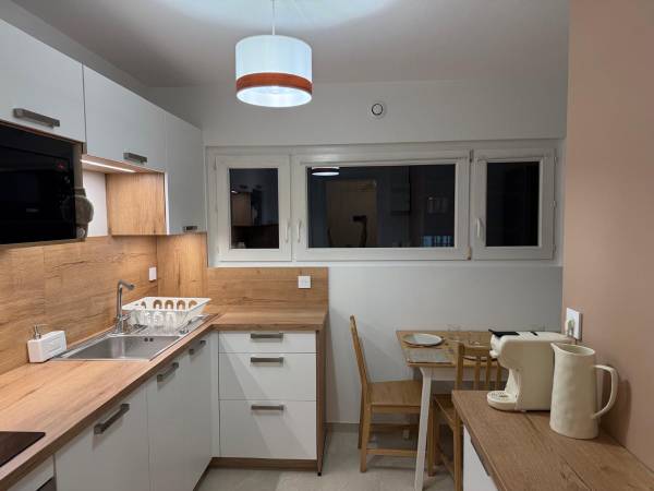 Colocation / Appartement 5 pièces de 90 m², Rillieux-la-Pape, Rue Hector Berlioz / Photo 2