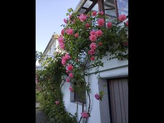 Colocation / Maison 5 pièces de 200 m², Strasbourg, Rue de Truchtersheim