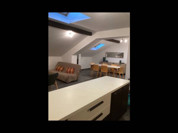 Colocation / Appartement 4 pièces de 100 m², Roanne, 16 Boulevard de Belgique / Photo 2