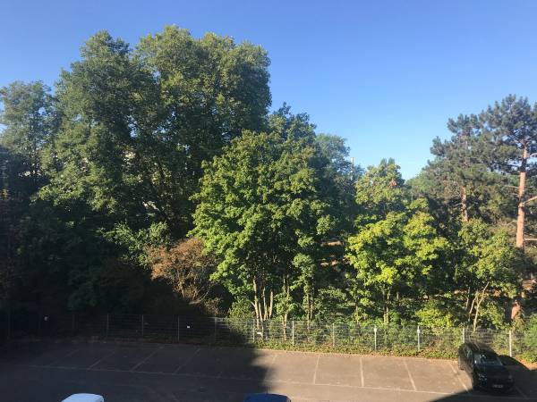 Colocation / Appartement 4 pièces de 90 m², Strasbourg, Rue de Ribeauvillé / Photo 7