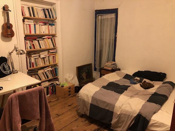 Sous-location / Appartement 4 pièces de 110 m², Strasbourg, Rue du Faubourg-De-Saverne / Photo 6