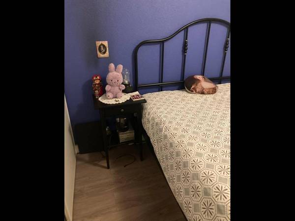 Chambre chez l'habitant / Appartement 3 pièces de 60 m², Toulouse, Rue Louis Vignes / Photo 3