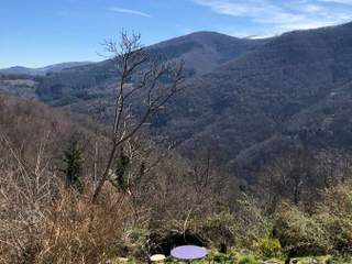 Flatsharing / 10-bedroom house · 190 m², Le Bosc