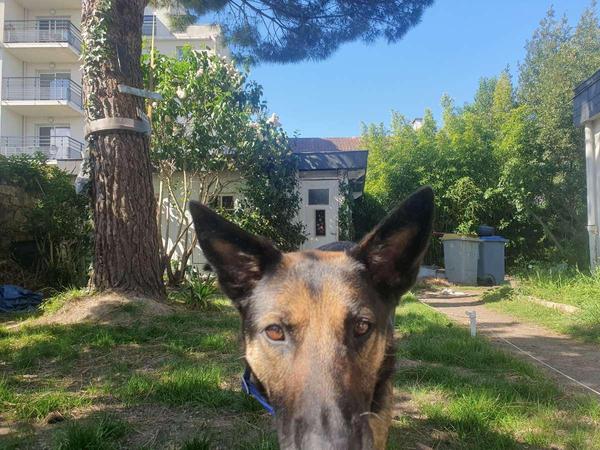 Flatsharing / 8-bedroom house · 200 m², Nantes, Rond-Point de Vannes / Photo 8