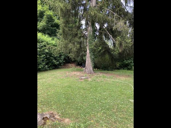 Colocation / Maison 9 pièces de 180 m², Gif-sur-Yvette, Allée Mademoiselle / Photo 2