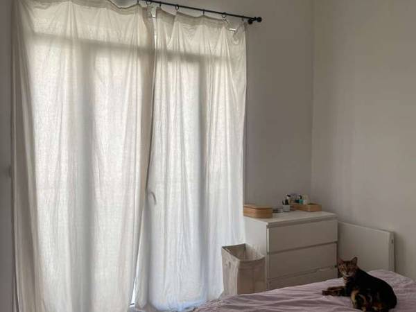 Sous-location / Appartement 2 pièces de 50 m², Marseille, Rue Jules Moulet / Photo 2