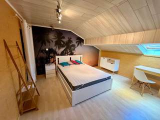 Colocation / Maison 10 pièces de 340 m², Saint-Julien-en-Genevois