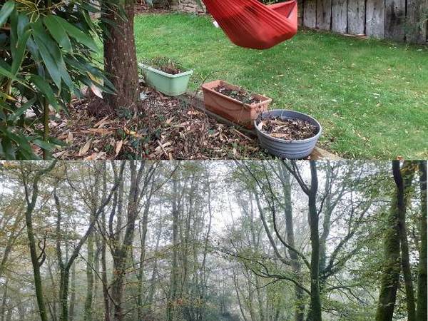 Colocation / Maison 6 pièces de 90 m², Quimper / Photo 2