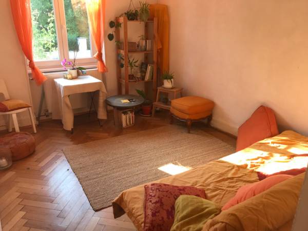 Colocation / Maison 4 pièces de 90 m², Strasbourg, Rue Aubry Et Rau / Photo 2