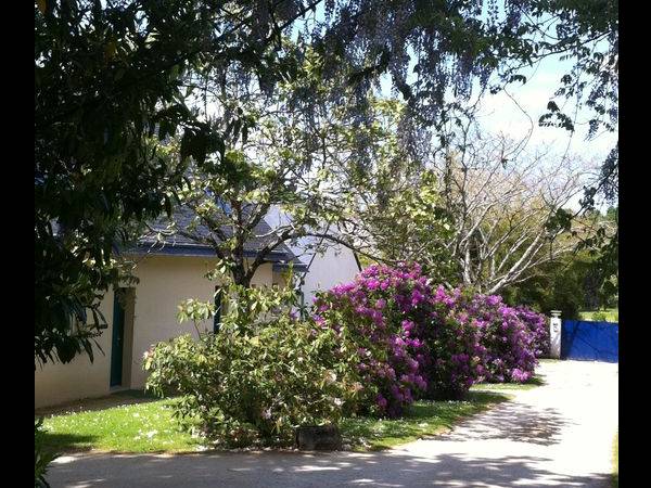 Location / Appartement, Vannes / Photo 2