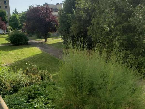 Chambre chez l'habitant / Appartement 3 pièces de 62 m², Saint-Maur-des-Fossés, Avenue du Bac / Photo 2
