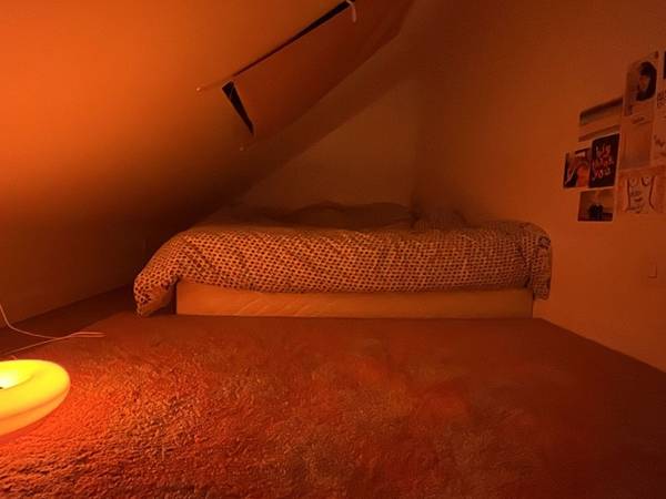 Sous-location / Appartement 2 pièces de 30 m², Paris, Rue de Lappe / Photo 8