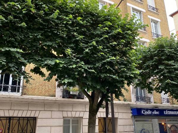 Rental / 1-bedroom flat · 28 m², Vincennes, Rue du Commandant Mowat / Photo 7
