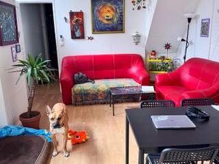 Colocation / Maison 4 pièces de 90 m², Toulouse, Descente de la Halle Aux Poissons