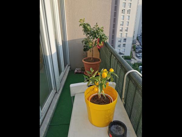 Sous-location / Appartement 5 pièces de 104 m², Les Lilas / Photo 2