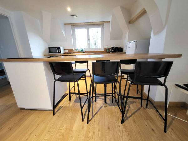 Coliving / Appartement 4 pièces de 100 m², Vichy, Boulevard Carnot / Photo 2