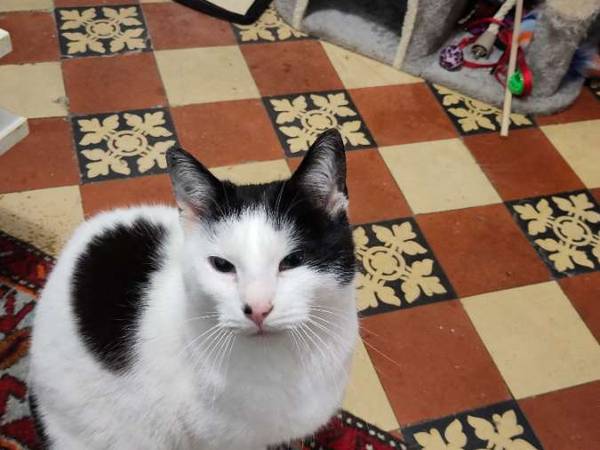 Colocation / Maison 4 pièces de 60 m², Épinay-sur-Seine, Avenue Jean Jaurès / Photo 8