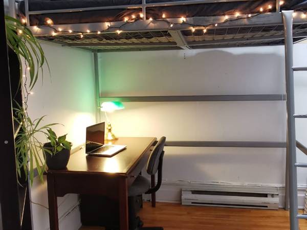 Colocation / Appartement 8 pièces de 100 m², Montréal, Rue Saint-Denis / Photo 6