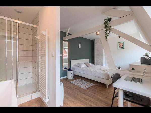 Coliving / Maison 10 pièces de 400 m², Lambersart, Avenue de Dunkerque / Photo 2