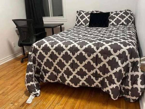Colocation / Appartement 5 pièces de 100 m², Montréal, Rue Lepailleur / Photo 2