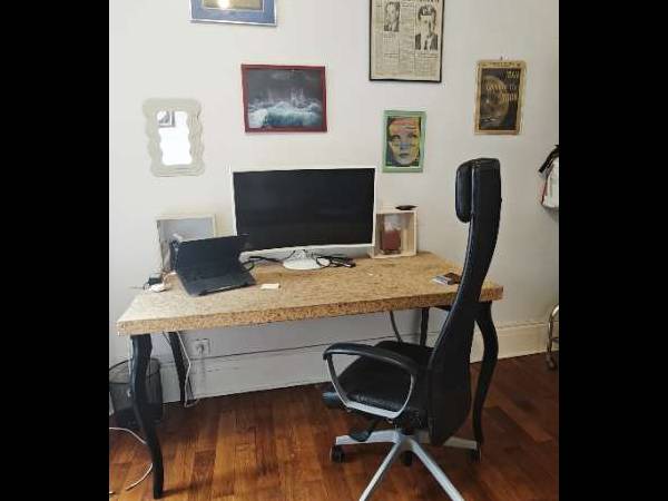 Sous-location / Appartement 4 pièces de 100 m², Lyon, Avenue Berthelot / Photo 8