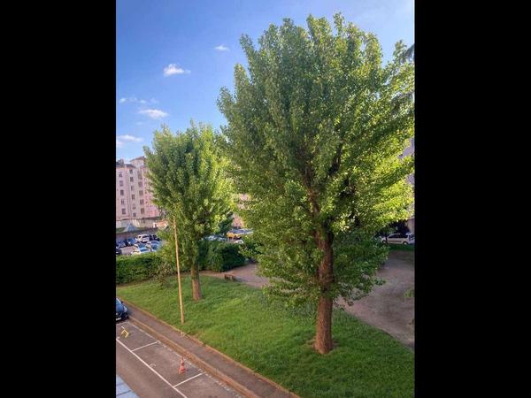 Colocation / Appartement 4 pièces de 63 m², Villeurbanne, Rue d'Alsace / Photo 7
