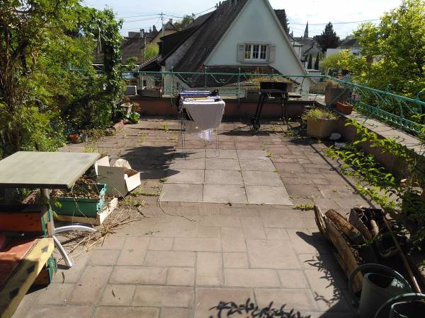 Flatsharing / 8-bedroom flat · 185 m², Eckbolsheim, Rue d'Oberhausbergen / Photo 2