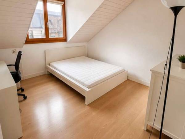 Colocation / Appartement 8 pièces de 150 m², Genève, Rue Emile-Yung / Photo 4