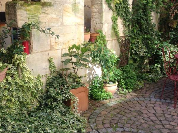 Chambre chez l'habitant / Maison 8 pièces de 250 m², Bordeaux, Rue Rose / Photo 2