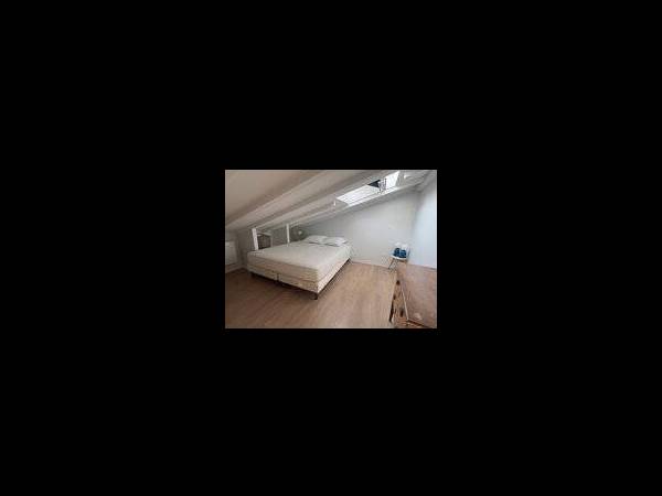 Chambre chez l'habitant / Maison 2 pièces, Bordeaux / Photo 2